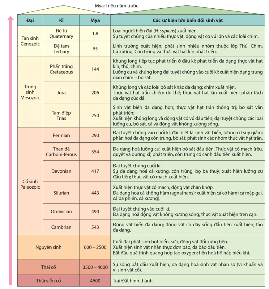 Lý thuyết Sự phát sinh, phát triển sự sống trên Trái Đất và hình thành loài người (Sinh 12 Cánh diều Bài 19)