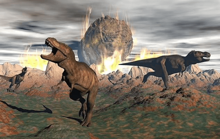 Lý thuyết Sự phát sinh, phát triển sự sống trên Trái Đất và hình thành loài người (Sinh 12 Cánh diều Bài 19)