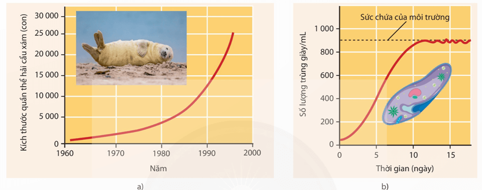 Lý thuyết Sinh thái học quần thể (Sinh 12 Cánh diều Bài 21)