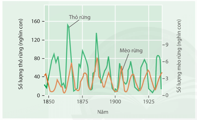 Lý thuyết Sinh thái học quần thể (Sinh 12 Cánh diều Bài 21)