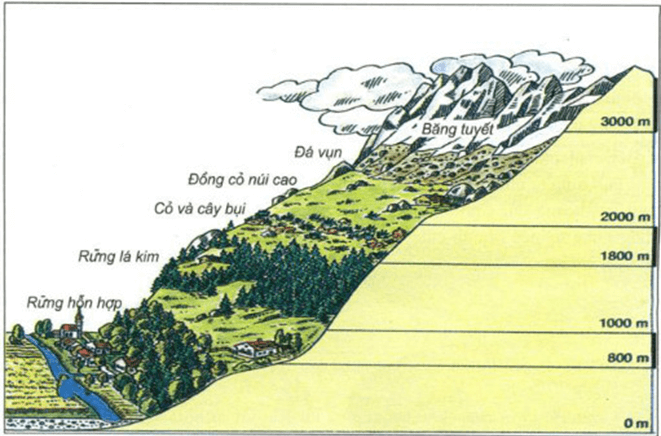 Lý thuyết Sinh thái học quần xã (Sinh 12 Cánh diều Bài 22)