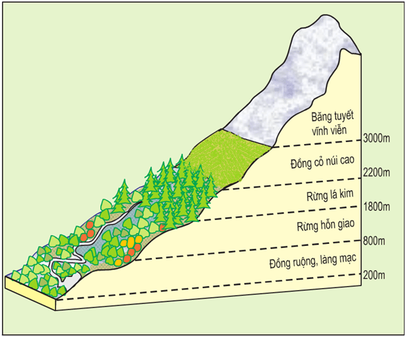Lý thuyết Sinh thái học quần xã (Sinh 12 Cánh diều Bài 22)