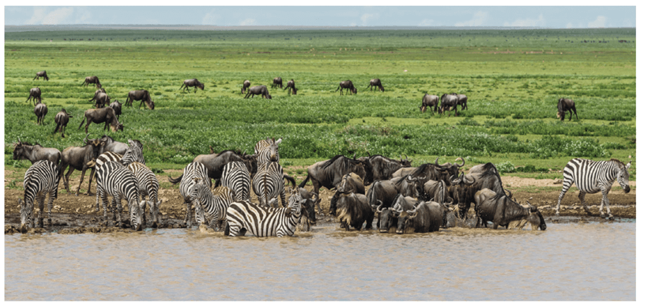 Lý thuyết Hệ sinh thái (Sinh 12 Cánh diều Bài 23)