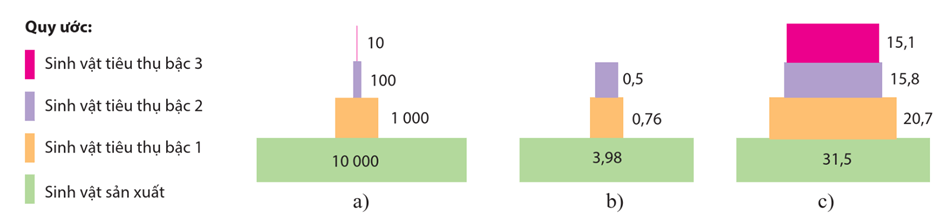 Lý thuyết Hệ sinh thái (Sinh 12 Cánh diều Bài 23)