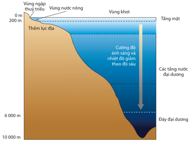 Lý thuyết Chu trình sinh - địa - hoá và Sinh quyển (Sinh 12 Cánh diều Bài 24)