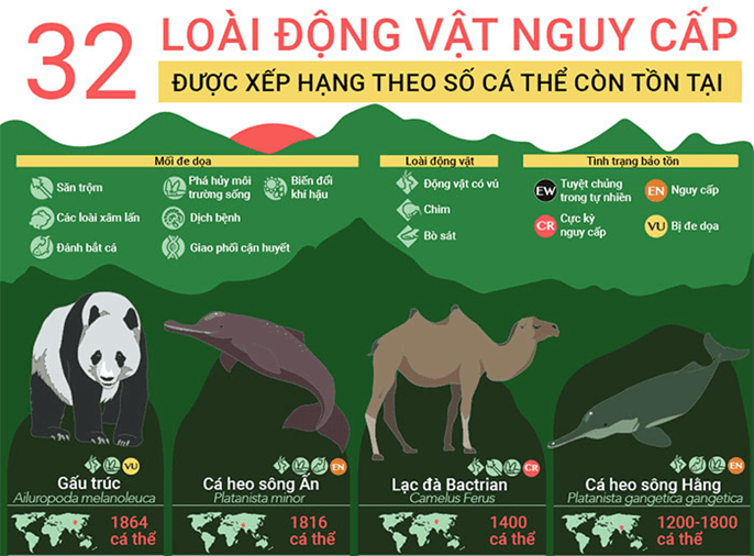 Lý thuyết Sinh thái học phục hồi và bảo tồn (Sinh 12 Cánh diều Bài 25)