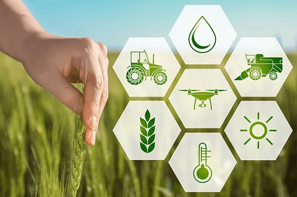 Lý thuyết Phát triển bền vững (Sinh 12 Cánh diều Bài 26)