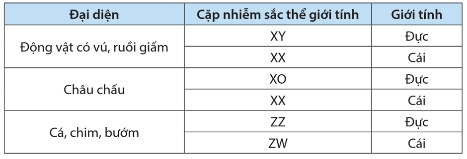 Lý thuyết Di truyền liên kết giới tính, liên kết gene và hoán vị gene (Sinh 12 Cánh diều Bài 8)