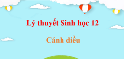 Tóm tắt Lý thuyết Sinh 12 Cánh diều (hay, ngắn gọn) | Kiến thức trọng tâm Sinh học 12