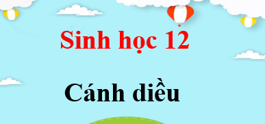 Sinh 12 Cánh diều | Giải bài tập Sinh học 12 (hay, ngắn gọn)