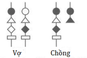 Trắc nghiệm Sinh học 12 Cánh diều Bài 14 (có đáp án): Di truyền học người