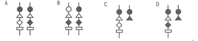 Trắc nghiệm Sinh học 12 Cánh diều Bài 14 (có đáp án): Di truyền học người