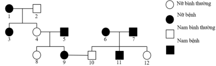 Trắc nghiệm Sinh học 12 Cánh diều Bài 14 (có đáp án): Di truyền học người