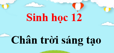 Sinh 12 Chân trời sáng tạo | Giải bài tập Sinh học 12 (hay, ngắn gọn)