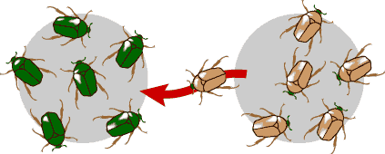 Trắc nghiệm Sinh học 12 Chân trời sáng tạo Bài 17 (có đáp án): Thuyết tiến hoá tổng hợp hiện đại