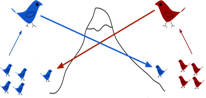 Trắc nghiệm Sinh học 12 Chân trời sáng tạo Bài 17 (có đáp án): Thuyết tiến hoá tổng hợp hiện đại