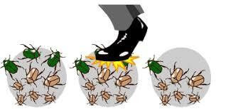 Trắc nghiệm Sinh học 12 Chân trời sáng tạo Bài 17 (có đáp án): Thuyết tiến hoá tổng hợp hiện đại