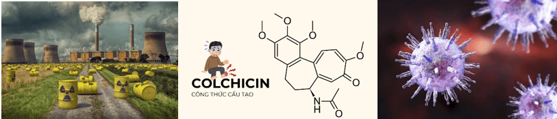 Lý thuyết Đột biến nhiễm sắc thể (Sinh 12 Kết nối tri thức Bài 12)