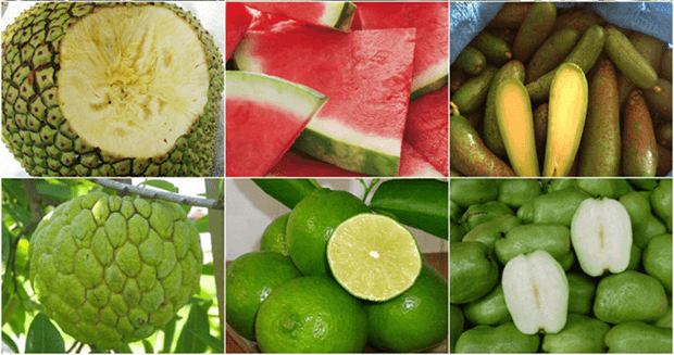 Lý thuyết Đột biến nhiễm sắc thể (Sinh 12 Kết nối tri thức Bài 12)