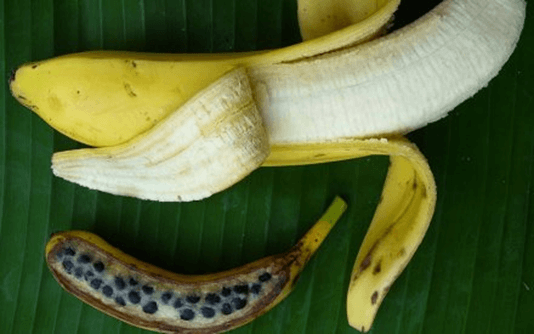 Lý thuyết Đột biến nhiễm sắc thể (Sinh 12 Kết nối tri thức Bài 12)