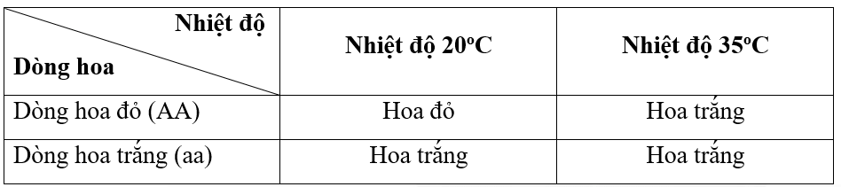 Lý thuyết Tương tác giữa kiểu gene với môi trường và thành tựu chọn giống (Sinh 12 Kết nối tri thức Bài 16)
