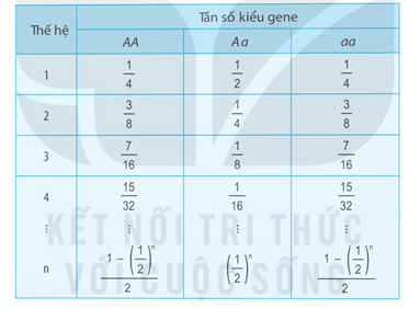 Lý thuyết Di truyền quần thể (Sinh 12 Kết nối tri thức Bài 18)