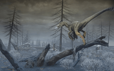 Lý thuyết Các bằng chứng tiến hoá (Sinh 12 Kết nối tri thức Bài 19)