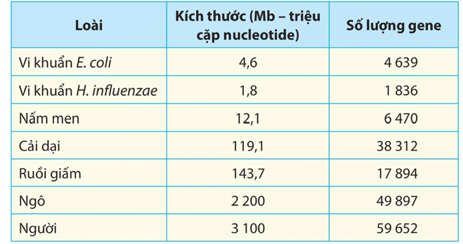 Lý thuyết Gene, quá trình truyền đạt thông tin di truyền và hệ gene (Sinh 12 Kết nối tri thức Bài 2)