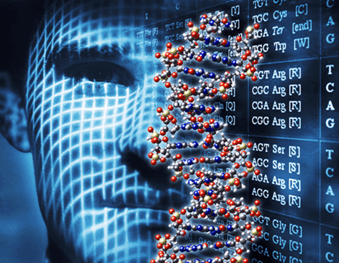 Lý thuyết Gene, quá trình truyền đạt thông tin di truyền và hệ gene (Sinh 12 Kết nối tri thức Bài 2)