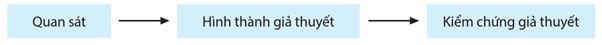 Lý thuyết Quan niệm của Darwin về chọn lọc tự nhiên và hình thành loài (Sinh 12 Kết nối tri thức Bài 20)