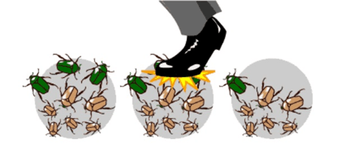 Lý thuyết Học thuyết tiến hoá tổng hợp hiện đại (Sinh 12 Kết nối tri thức Bài 21)