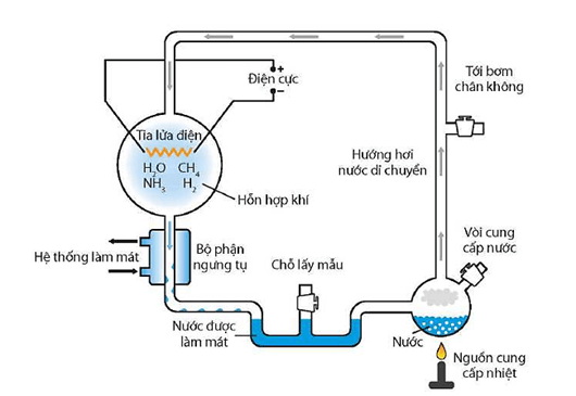 Lý thuyết Tiến hoá lớn và quá trình phát sinh chủng loại (Sinh 12 Kết nối tri thức Bài 22)