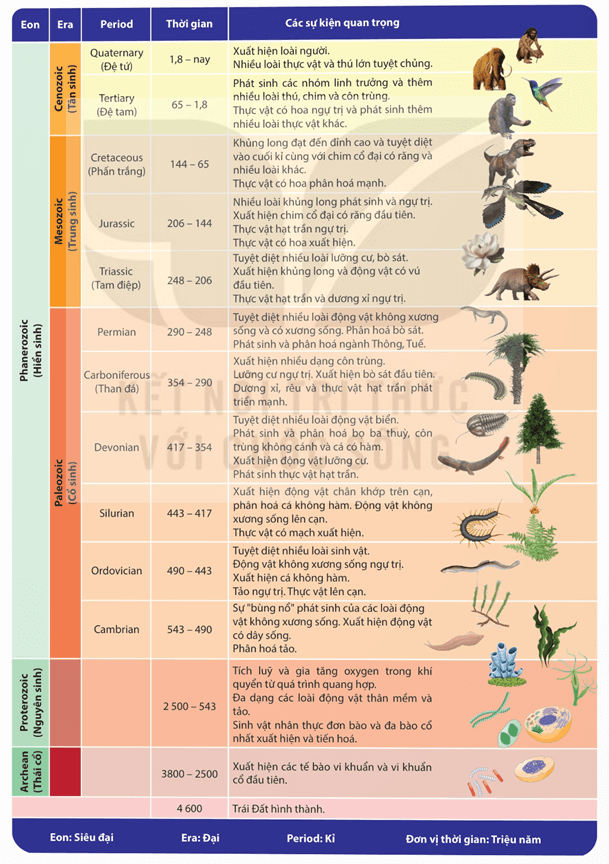 Lý thuyết Tiến hoá lớn và quá trình phát sinh chủng loại (Sinh 12 Kết nối tri thức Bài 22)