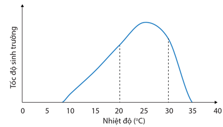 Lý thuyết Môi trường và các nhân tố sinh thái (Sinh 12 Kết nối tri thức Bài 23)