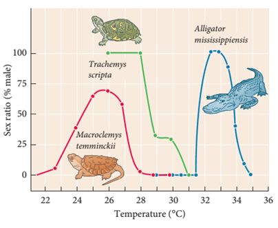 Lý thuyết Môi trường và các nhân tố sinh thái (Sinh 12 Kết nối tri thức Bài 23)