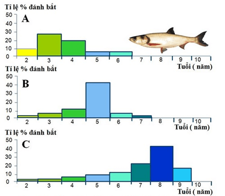 Lý thuyết Sinh thái học quần thể (Sinh 12 Kết nối tri thức Bài 24)