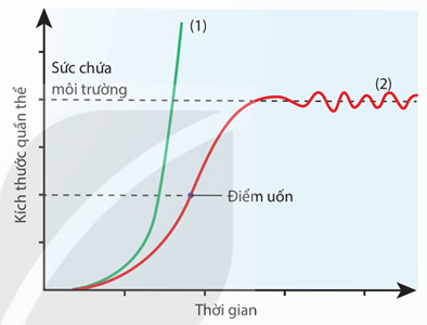 Lý thuyết Sinh thái học quần thể (Sinh 12 Kết nối tri thức Bài 24)