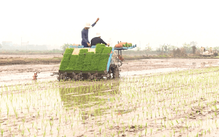 Lý thuyết Sinh thái học quần thể (Sinh 12 Kết nối tri thức Bài 24)