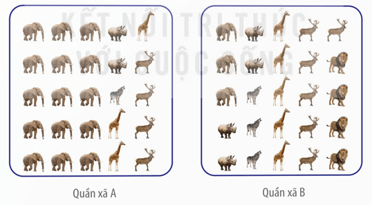 Lý thuyết Quần xã sinh vật (Sinh 12 Kết nối tri thức Bài 26)