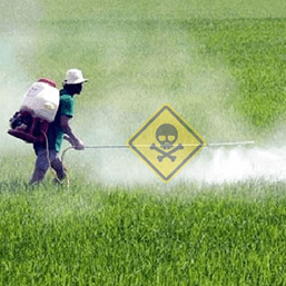 Lý thuyết Quần xã sinh vật (Sinh 12 Kết nối tri thức Bài 26)