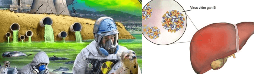 Lý thuyết Đột biến gene (Sinh 12 Kết nối tri thức Bài 4)