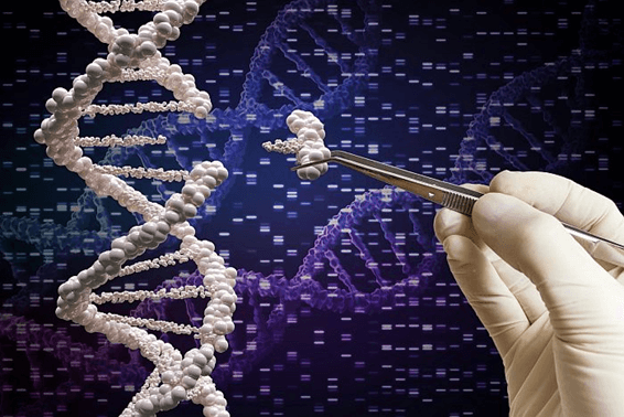 Lý thuyết Công nghệ di truyền (Sinh 12 Kết nối tri thức Bài 5)