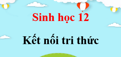 Sinh 12 Kết nối tri thức | Giải bài tập Sinh học 12 (hay, chi tiết)