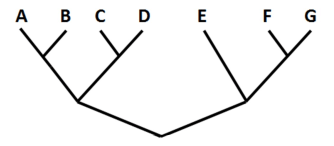 Trắc nghiệm Sinh học 12 Kết nối tri thức Bài 22 (có đáp án): Tiến hoá lớn và quá trình phát sinh chủng loại