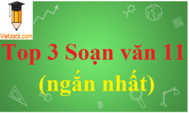 Soạn văn 11 năm 2024 sách mới (nhanh nhất) | Ngữ văn 11 sách mới