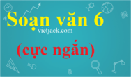 Soạn văn 6 năm 2024 sách mới (nhanh nhất) | Ngữ văn lớp 6 sách mới