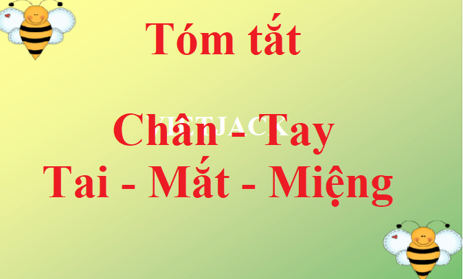 Tóm tắt Chân, Tay, Tai, Mắt, Miệng