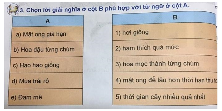 Tiếng Việt 4 VNEN Bài 22A: Hương vị hấp dẫn | Soạn Tiếng Việt lớp 4 VNEN hay nhất