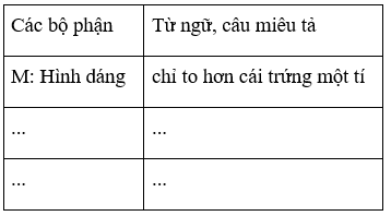 Tiếng Việt 4 VNEN Bài 30B: Dòng sông mặc áo | Soạn Tiếng Việt lớp 4 VNEN hay nhất