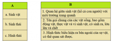 Tiếng Việt 5 VNEN Bài 12A: Hương sắc rừng xanh | Soạn Tiếng Việt lớp 5 VNEN hay nhất